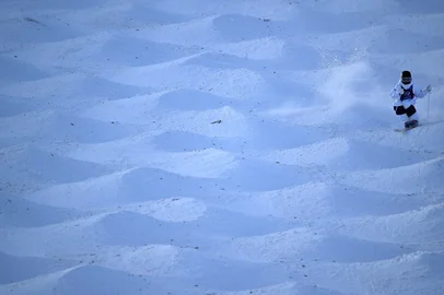 Elizabeth Lemley, Moguls