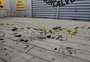 Polícia descarta crime de ódio em caso de homem em situação de rua incendiado numa parada de ônibus