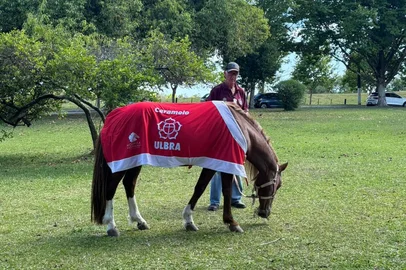 O cavalo Caramelo será a atração da Cavalgada do Bem, neste sábado (13), a partir das 9h, em Esteio, na Região Metropolitana. Símbolo da resiliência durante a pior tragédia climática do Rio Grande do Sul, o animal desfilará pelas ruas do bairro Novo Esteio com uma manta nas cores natalinas. A organização do evento é do CTG Independência Gaúcha.<!-- NICAID(16184896) -->