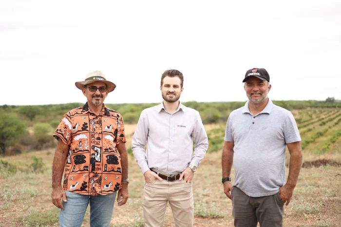 Cresol / Divulgação