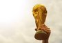 Piloto de avião brinca que Argentina foi campeã da Copa do Mundo e leva torcedores ao delírio; veja vídeo