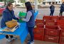 Município do norte gaúcho cria Vale Feira e incentiva economia da agricultura familiar