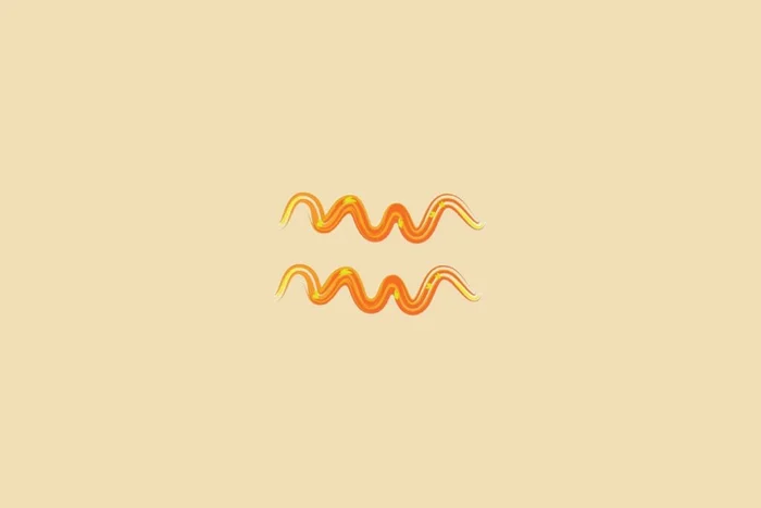 Morgenmuffell / Shutterstock | Portal EdiCase