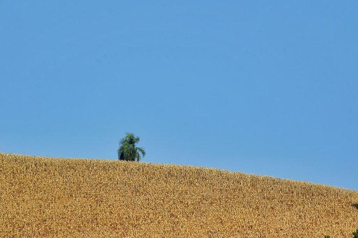 Lauro Alves / Agencia RBS Lauro Alves / Agencia RBS