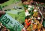 Como moeda criada em cidade do RS fez prefeitura reduzir gastos e incentivou comércio de produtos da agricultura familiar