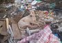 Em São Gabriel, protetores se preocupam com cães em lixão