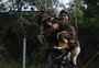 VÍDEO: conheça a rotina dos cães que reforçam o policiamento da Brigada Militar em Caxias do Sul