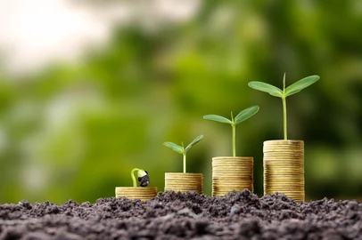 Arthon / stock.adobe.com Trees grow on piles of gold coins on the ground, business growth tips. Investment in agribusiness and agricultural processingFonte: 455095324<!-- NICAID(16150249) -->