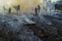 View of a burnt are of the Amazonia rainforest in Apui, southern Amazonas State, Brazil, on September 21, 2022. According to the National Institute for Space Research (INPE), hotspots in the Amazon region saw a record increase in the first half of September, being the average for the month 1,400 fires per day. (Photo by MICHAEL DANTAS / AFP)Editoria: DISLocal: ApuíIndexador: MICHAEL DANTASSecao: fireFonte: AFPFotógrafo: STR<!-- NICAID(15472957) -->