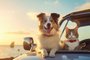 dog and cat are traveling with their family on their holiday.Fonte: 633152556<!-- NICAID(15575136) -->