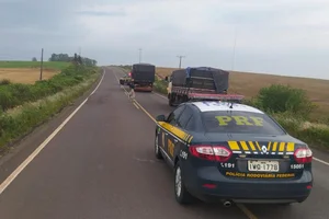 Polícia Rodoviária Federal / Reprodução