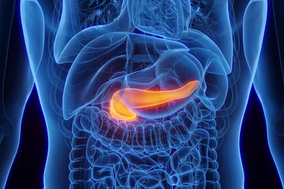 3D Rendered Medical Illustration of Male Anatomy - The Pancreas. Plain Black Background. Close up. Anterior viewFonte: 547992444<!-- NICAID(16303303) -->
