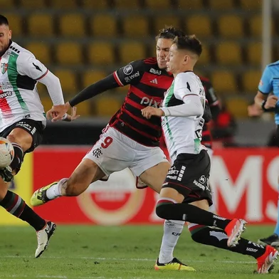 Palestino x Flamengo, Libertadores