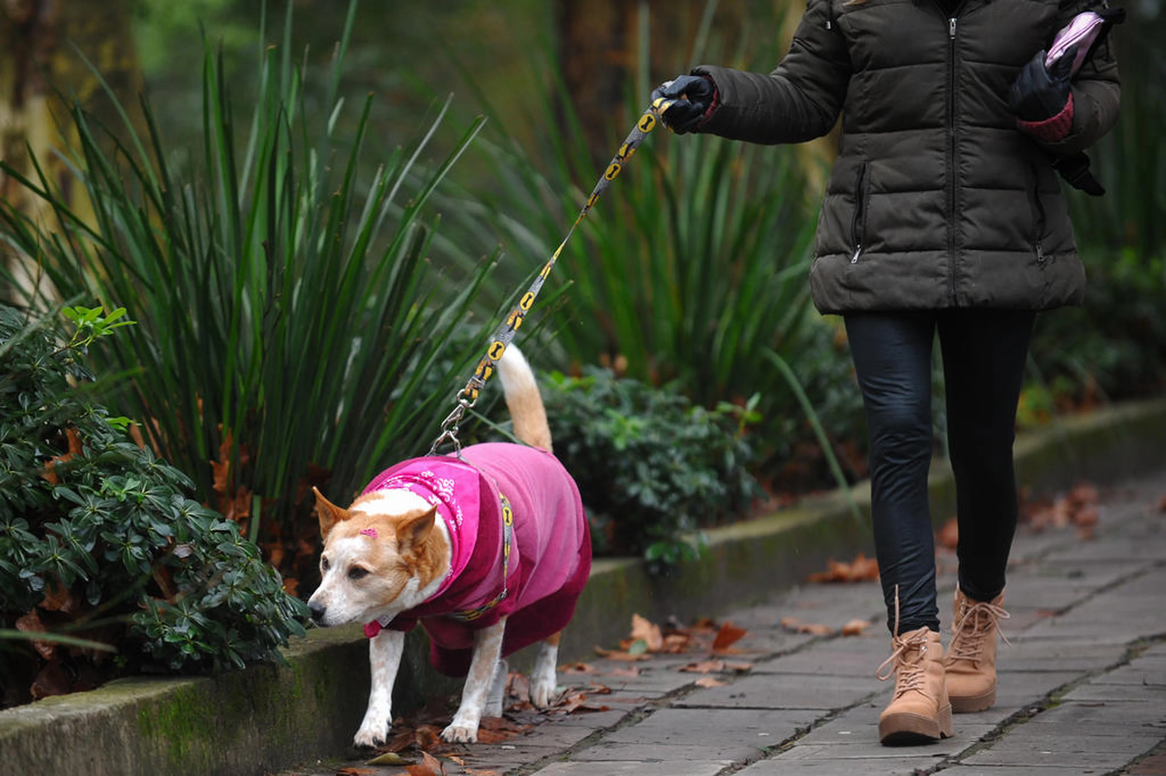 Bruno Todeschini/Agencia RBS