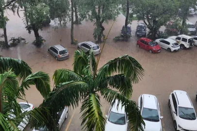 UFSM trabalha para recuperar arquivos atingidos por inundação causada pela chuvaCrédito: UFSM/Divulgação<!-- NICAID(15751742) -->
