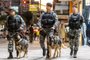 O Comando do 12º Batalhão de Polícia Militar de Caxias do Sul, implementa ao serviço de policiamento ostensivo a Patrulha K9, composta por cães policiais do Canil da 12° BPM que vão suplementar as atividades de segurança pública no município, na detecção de entorpecentes, operações de choque, buscas e captura.<!-- NICAID(15435011) -->