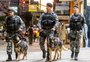 Cães do 12° BPM são integrados ao serviço de policiamento ostensivo em Caxias do Sul 