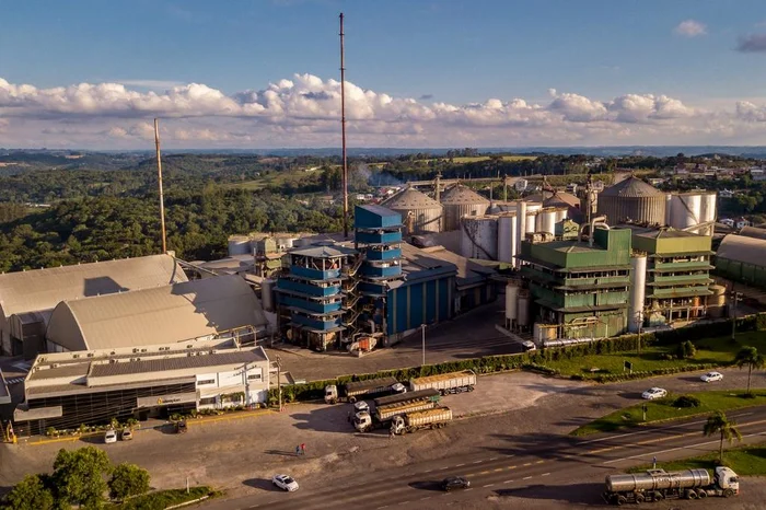 Oleplan / Divulgação