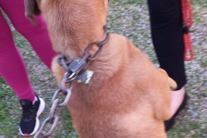 Eduardo Borges / Divulgação Eduardo Borges / Divulgação