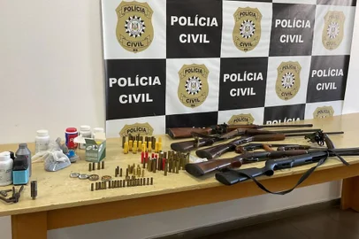 Morte de ovelhas termina com apreensão de sete armas de fogo ilegais, em Jaquirana<!-- NICAID(15379985) -->
