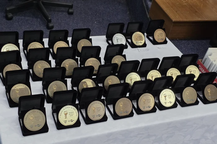 Viviane Zanella / Divulgação