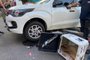 Entregadora de 27 anos fica ferida após ser atropelada por carro em Caxias do Sul<!-- NICAID(15706020) -->