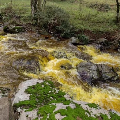 Brigada Militar e Fepam coletam provas para apurar descarte irregular de dejetos em riacho no interior de Caxias<!-- NICAID(15134975) -->