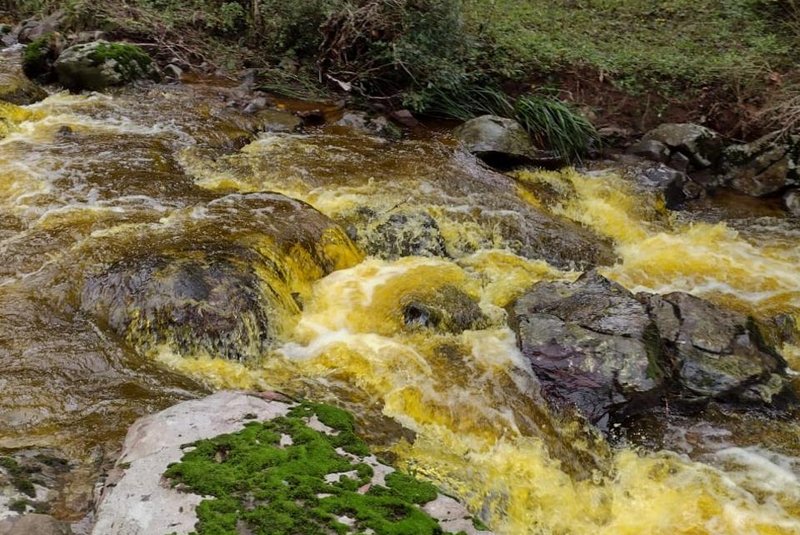 Brigada Militar e Fepam coletam provas para apurar descarte irregular de dejetos em riacho no interior de Caxias<!-- NICAID(15134975) -->