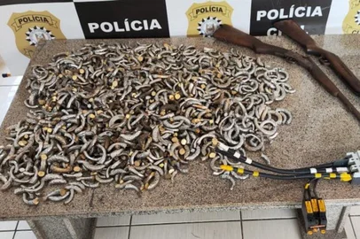 Homem é preso com mais de cem quilos de argolas de bronze furtadas de sepulturas <!-- NICAID(15606195) -->