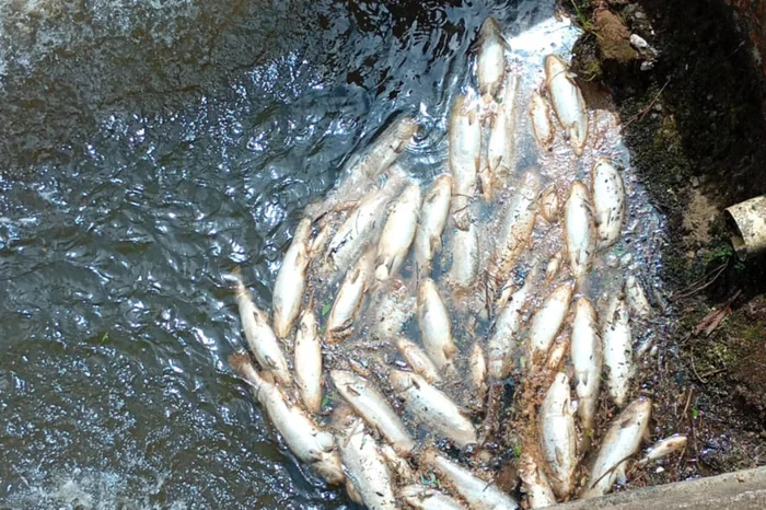 Daniel Rodrigues / Arquivo pessoal