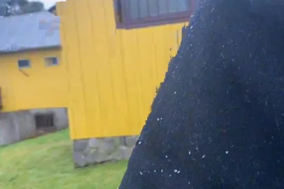 Chuva congelada em São José dos Ausentes<!-- NICAID(14819746) -->