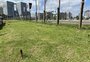 Acampamento Farroupilha recebe plantio de mudas no próximo dia 16 como compensação por obras
