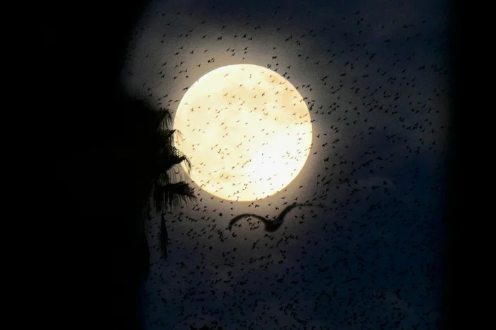 Tiziana FABI / AFP Tiziana FABI / AFP