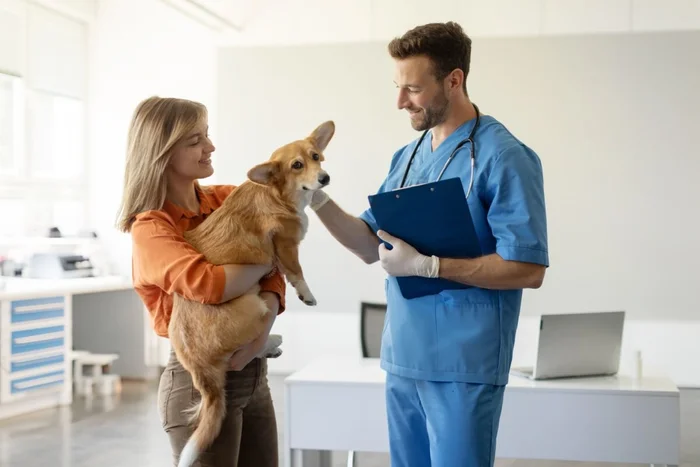 fast-stock / Shutterstock | Portal EdiCase