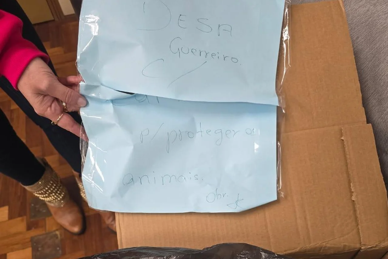 Andreza Guerreiro/Arquivo pessoal