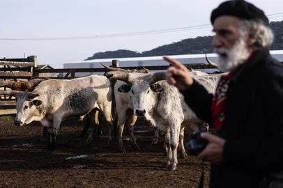 FOTOLIVRO SOBRE O GADO FRANQUEIRO TEM LANÇAMENTO ESPECIAL EM SÃO JOSÉ DOS AUSENTES NESTA TERÇA-FEIRA (3).<!-- NICAID(16216912) -->