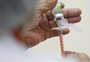 RS recebe 480 mil doses de vacina contra a gripe e distribuição aos municípios começa nesta terça-feira