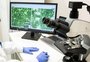 DNA francês e fórmula brasileira são os ingredientes de produto biológico desenvolvido para a soja