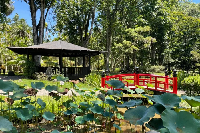 Rosane de Oliveira / Arquivo Pessoal