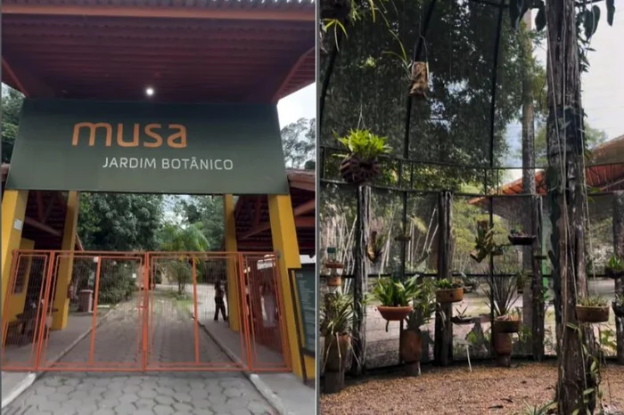 @museudaamazonia_musa / Instagram / Reprodução
