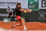 Zverev vence argentino Etcheverry e volta às semifinais de Roland Garros