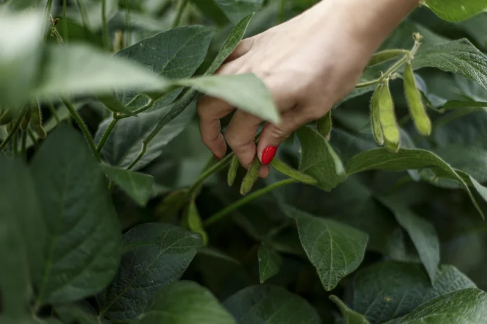 Duda Fortes / Agencia RBS