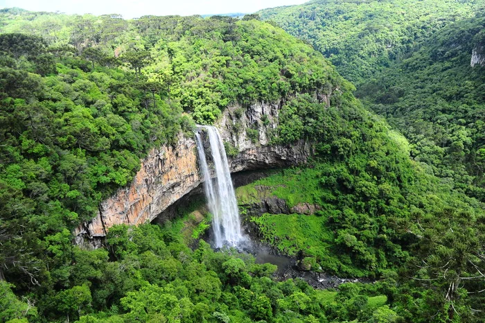 Porthus Junior / Agencia RBS