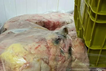 Na última quarta-feira (12) o Ministério Público (MP), por meio do Programa Segurança Alimentar RS,  vistoriou quatro estabelecimentos em Cotiporã, onde foram apreendidos mais de sete toneladas de produtos e alimentos impróprios, sendo uma distribuidora de alimentos e três mercados. Dentre os mercados, um não apresentou irregularidades, os demais locais foram autuados.<!-- NICAID(15401480) -->