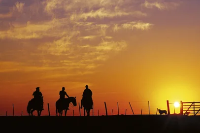 CVC lançará dois destinos da Região Central e do Pampa Gaúcho para venda em todo país<!-- NICAID(15965213) -->