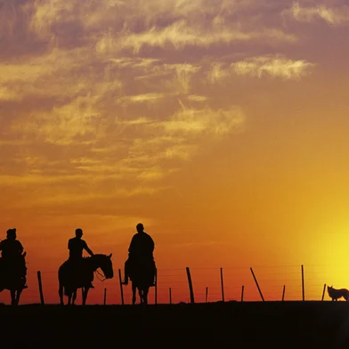 CVC lançará dois destinos da Região Central e do Pampa Gaúcho para venda em todo país<!-- NICAID(15965213) -->