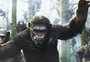 Qual a ordem cronológica correta dos filmes "Planeta dos Macacos"