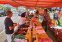 Temporada de verão nas praias deve ser de superação para as feiras orgânicas no Litoral Norte