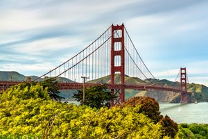 Leonid Andronov / stock.adobe.com