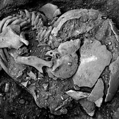 Descoberta do caso mais antigo de sífilis humana mostra como a ciência trabalha - Foto: Rodrigo Elias Oliveira/Agência FAPESP/Divulgação<!-- NICAID(15405131) -->